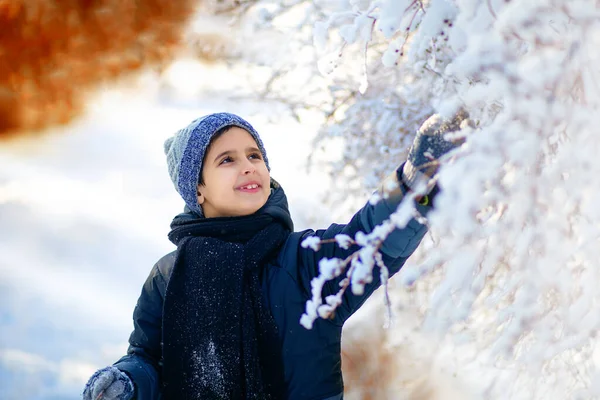 Pojken Tar Kvisten Nära Trädet Med Snö Julnyårskänsla Vintertid Snösemester — Stockfoto