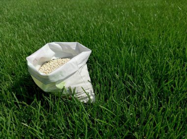 Fertilizer for grass, lawn, meadow in a bag of white granules on a background of green grass. Close up of mineral fertilizer granules used on grass lawns and gardens to maintain health and growth. clipart