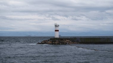Türkiye 'nin İstanbul kentinde bulutlu bir günde deniz fenerinin manzarası. Dalgakıranlardaki deniz fenerlerinden biri. Reklam pankartı ya da fotokopi alanı olan poster. Uçan martılar. Boğaz Boğazı, Marmara Denizi, Karadeniz.