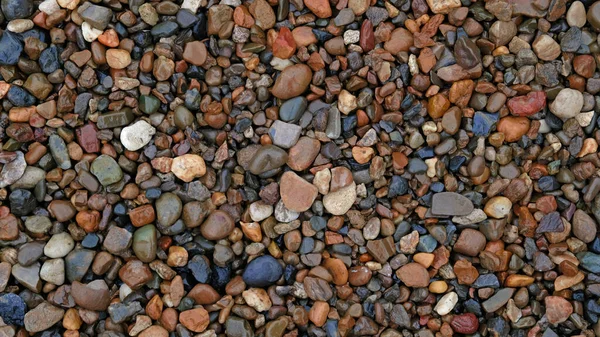 Bunte Kieselsteine Aus Meer Oder Fluss Natürliche Textur Der Kieselsteine — Stockfoto