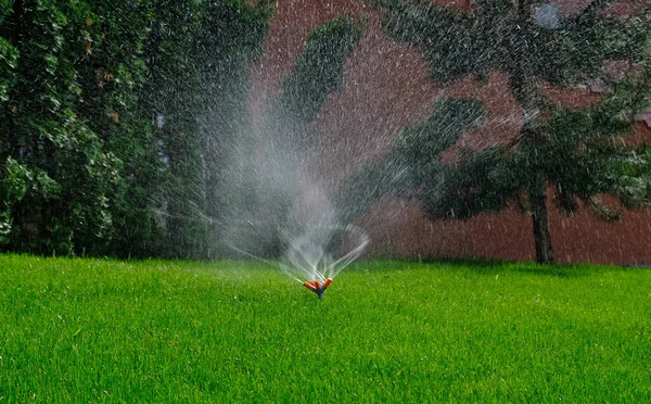 Automatic Garden Irrigation System Watering Lawn Savings Water Sprinkler Irrigation — Stock Photo, Image