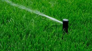 Otomatik bahçe sulama sistemi çimleri suluyor. Fıskiye sulama sisteminden ayarlanabilir başlıklı su tasarrufu. Çim sulama, bahçıvanlık, futbol sahaları veya golf sahaları için otomasyon.