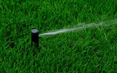 Otomatik bahçe sulama sistemi çimleri suluyor. Fıskiye sulama sisteminden ayarlanabilir başlıklı su tasarrufu. Çim sulama, bahçıvanlık, futbol sahaları veya golf sahaları için otomasyon.