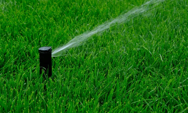 Sistema Automatico Irrigazione Del Giardino Irrigazione Prato Risparmio Acqua Dal — Foto Stock