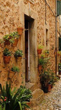 Çiçek saksıları ve ahşap kapılı, taşralı taş cephe. Geleneksel Valldemossa evi girişi bitkilerle süslenmiş. Otantik Mallorcan Köy Caddesi.
