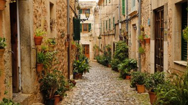 Valldemossa 'da kır taşı evleri ve yeşil kepenkleri olan dar bir kaldırım taşı caddesi. Geleneksel Mallorcan köy sokağı saksı bitkileriyle süslenmiş..