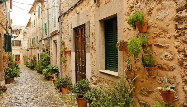 Valldemossa 'da kır taşı evleri ve yeşil kepenkleri olan dar bir kaldırım taşı caddesi. Geleneksel Mallorcan köy sokağı saksı bitkileriyle süslenmiş..