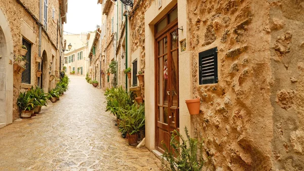 Valldemossa 'da kır taşı evleri ve yeşil kepenkleri olan dar bir kaldırım taşı caddesi. Geleneksel Mallorcan köy sokağı saksı bitkileriyle süslenmiş..