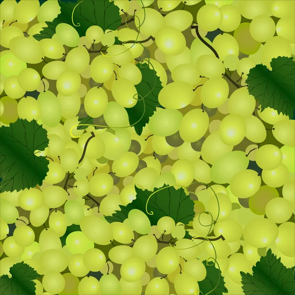 Fondo vectorial de un racimo de uvas verdes — Vector de stock