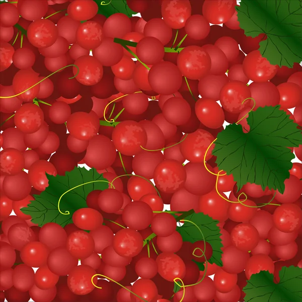 Fondo vectorial de racimos rosados de uvas — Vector de stock