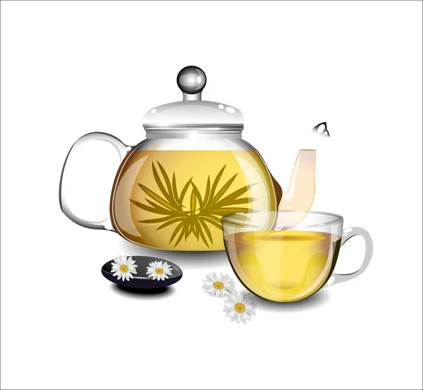 Théière transparente et une tasse de thé vert . — Image vectorielle