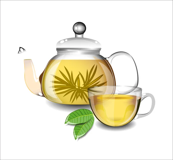 Átlátszó teáskanna és egy csésze zöld tea. — Stock Vector