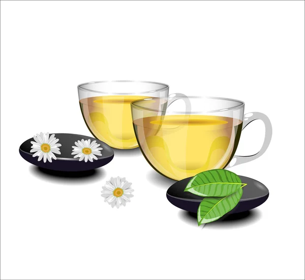 Dos tazas de té verde con flores de manzanilla y hojas de té i — Archivo Imágenes Vectoriales