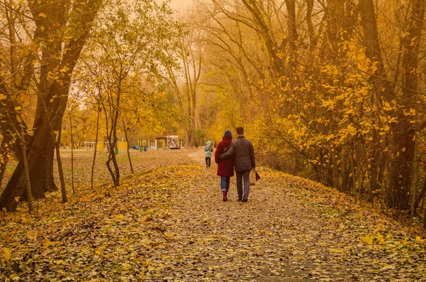 Jovem Casal Para Passeio Parque Outono Casal Passear Cão — Fotografia de Stock