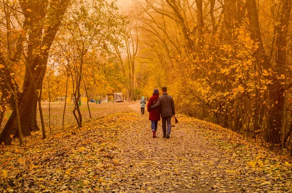 Pasangan Muda Pergi Untuk Berjalan Jalan Taman Musim Gugur Pasangan Stok Lukisan  