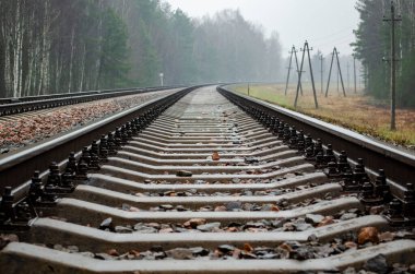 Demiryolu arazisi, rayları ve ormanı var.