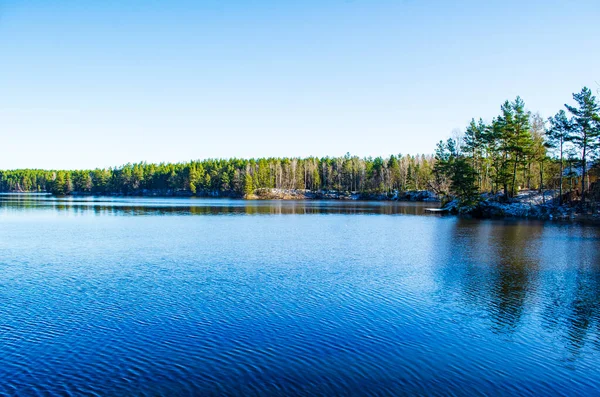 Landscape Blue Lake Forest Village — Stock Photo, Image