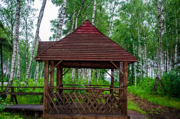 Belvédère Bois Dans Parc Pour Détente — Photo