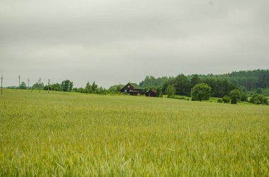 Tarlaların ve köylerin manzarası