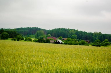 Tarlaların ve köylerin manzarası