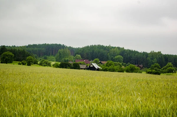 畑や村の風景 — ストック写真