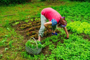 Yaşlı kadın bahçeyi suladı.