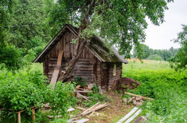 Köydeki bahçedeki kütüklerden bitmemiş sauna.