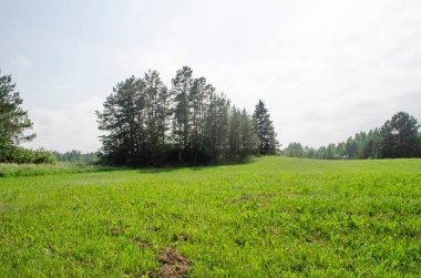 Yazın tepeler ve ormanlar olan manzara alanı