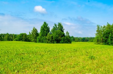 Yazın tepeler ve ormanlar olan manzara alanı