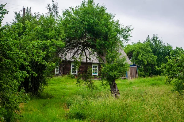 Abandoned Cottage Apple Orchard — Stock Photo, Image