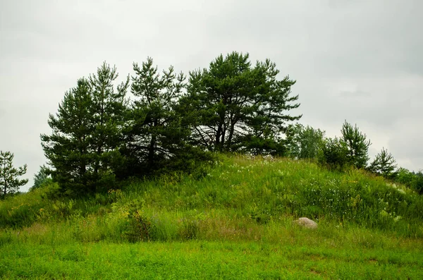 Landschap Met Heuvels Bossen Zomer — Stockfoto