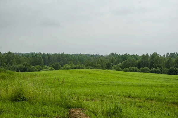 Landschap Met Heuvels Bossen Zomer — Stockfoto