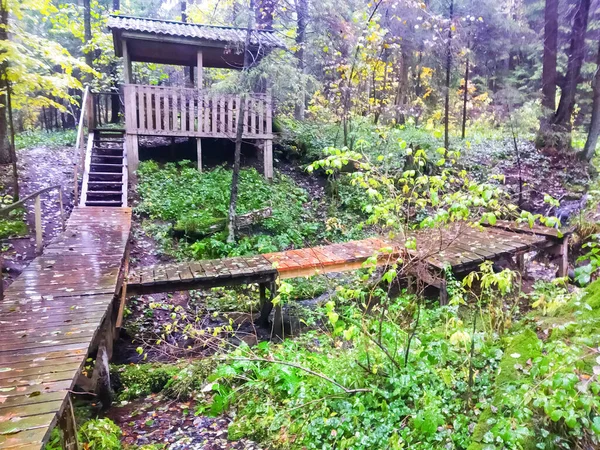 Fondo Desenfocado Gran Mirador Bosque — Foto de Stock