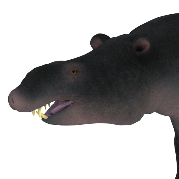 Moeritherium däggdjur huvud — Stockfoto