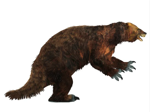 Megatherium Preguiça perfil lateral — Fotografia de Stock