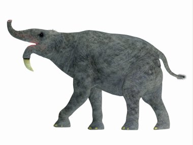 Deinotherium yan profili