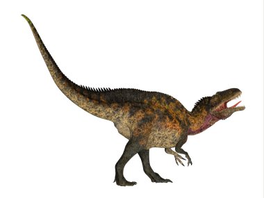 Acrocanthosaurus yan profili