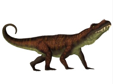 Prestosuchus yan profili