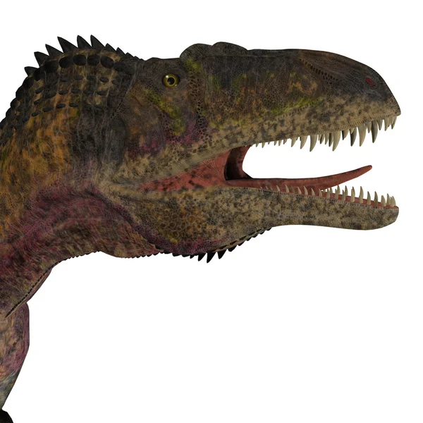 Cabeça de dinossauro Acrocanthosaurus — Fotografia de Stock