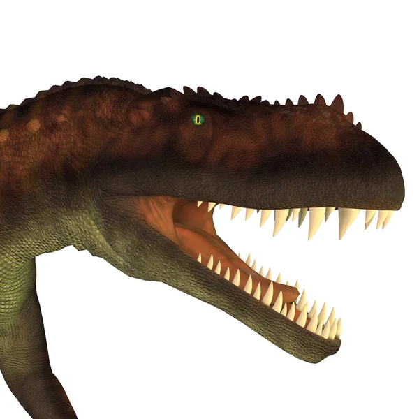 Prestosuchus Dinosaur Head — Stock Photo, Image