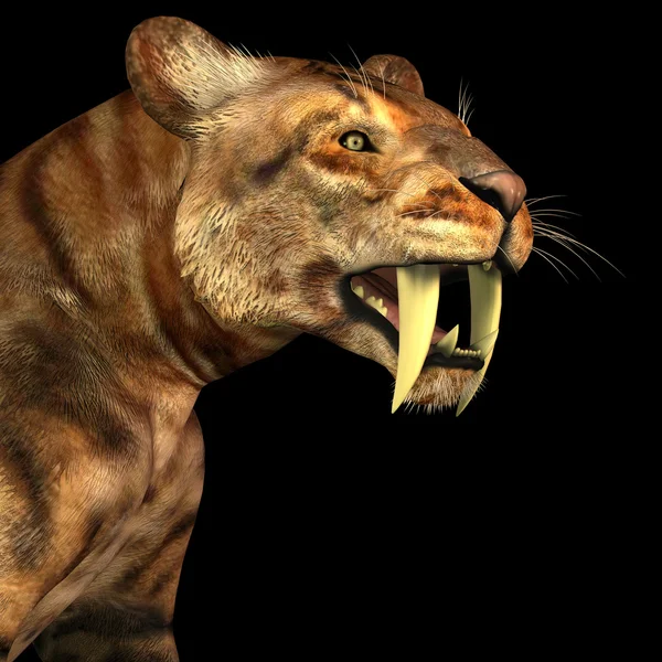 Papo Smilodon Saber Tooth Tiger 2010 | eBay