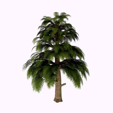 Arkeopteris Devonian Ağacı