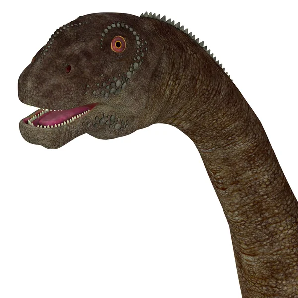 Amphicoelias dinosaurie huvud — Stockfoto