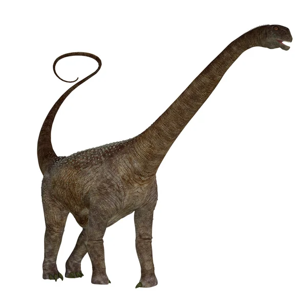 화이트에 Malawisaurus 공룡 — 스톡 사진