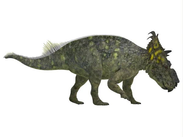 Pachyrhinosaurus 사이드 프로 파일 — 스톡 사진