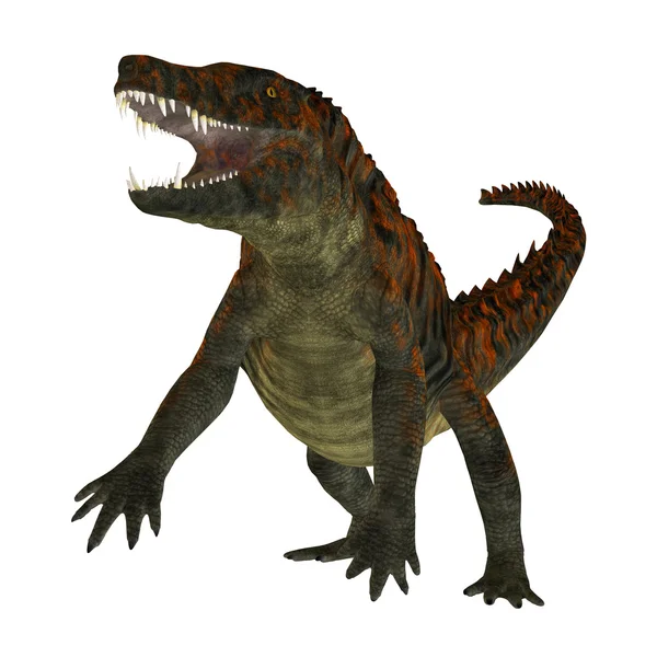 Uberabasuchus on White — Stock Photo, Image