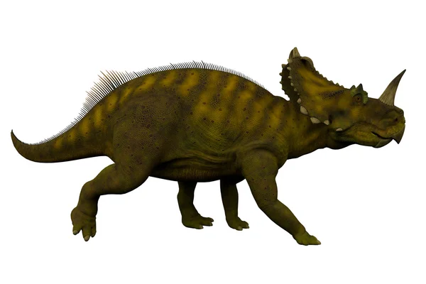 Perfil lateral de Centrosaurus — Foto de Stock