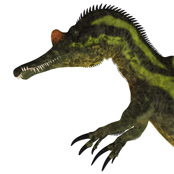 Ichthyovenator dinozor kafası — Stok fotoğraf