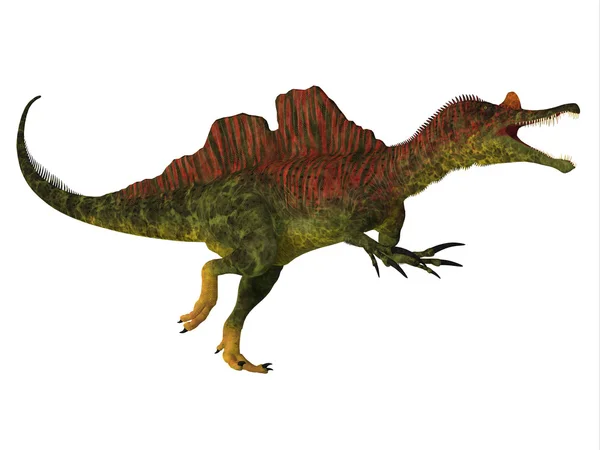 Ichthyovenator 恐龙身体 — 图库照片