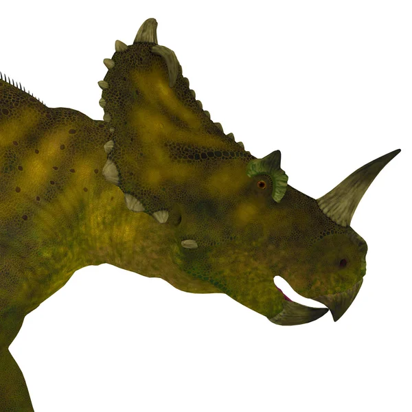Centrosaurus Dinosaur Head — Stock Photo, Image